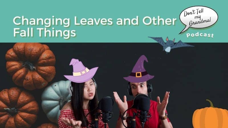 Changing Leaves and Other Fall Things 7 DTMG S3 E17